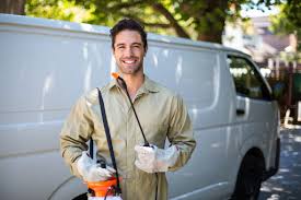 Best Termite Inspection and Treatment  in Ome, GA